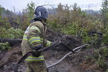Дым без огня. Как выглядит лесной пожар под Рязанью спустя неделю 