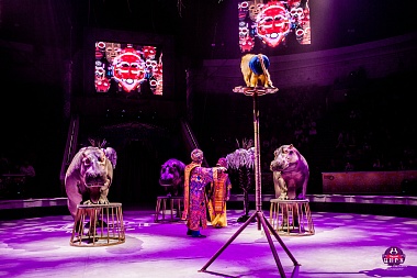 В Рязанском цирке представят шоу Гии Эрадзе «Песчаная Сказка» 