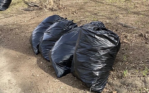 Прокуратура добилась уборки мусора в двух рязанских дворах