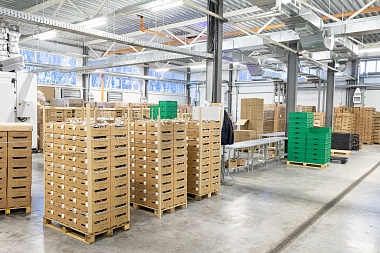 Тепличный комбинат в Рязанской области готовится выйти на полную мощность