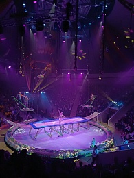 В Рязани детей бойцов СВО позвали в цирк - 62ИНФО В Рязани детей бойцов СВО позвали в цирк