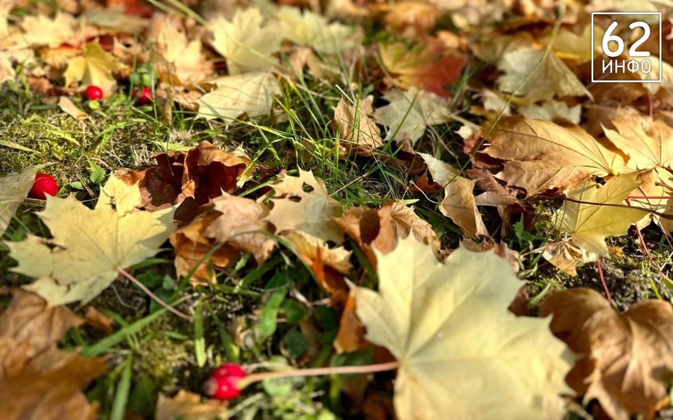 Рязанская осенняя погода побила рекорд 1991 года - 62ИНФО