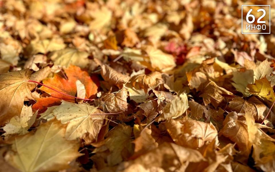 В Рязанской области продлили метеопредупреждение о высокой пожарной опасности - 62ИНФО В Рязанской области продлили метеопредупреждение о высокой пожарной опасности - 62ИНФО