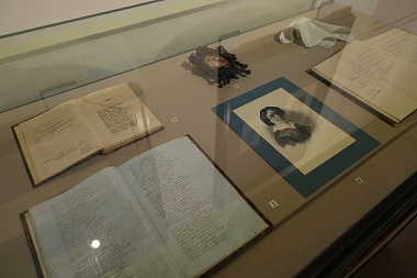 Павел Малков: в Рязани открылась выставка, посвященная Надежде Хвощинской