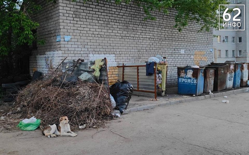 Госжилинспекция уличила две УК в плохом состоянии контейнерных площадок в Рязани - 62ИНФО