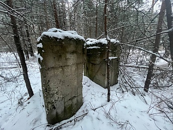 В рязанском лесу сфотографировали заброшки и лестницу в никуда - 62ИНФО В рязанском лесу сфотографировали заброшки и лестницу в никуда