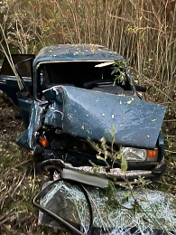 Два ребёнка пострадали после слёта легковушки в кювет в Пителинском районе