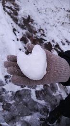 Рязанцы делятся фото первого снегопада в городе и в лесу