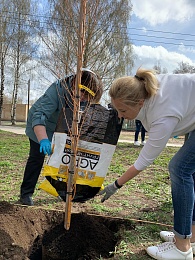 В Рязани на территории ОКБ появилась Аллея терапевтов
