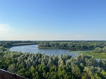 Провожаем лето: красивые фото Рязанской области с настроением отпуска