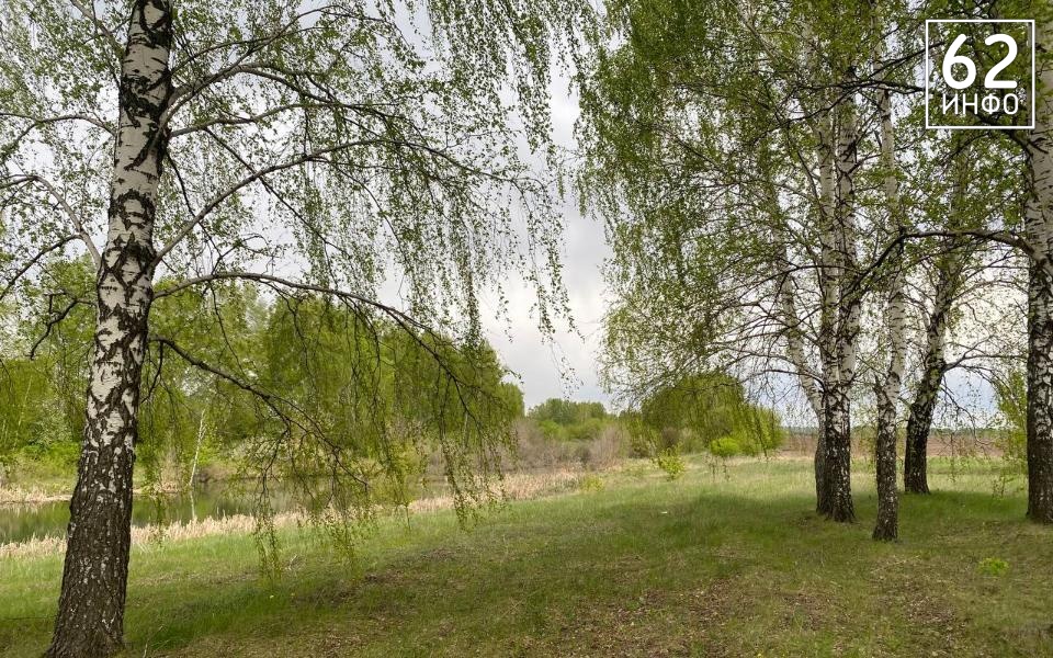 В Рязани снова установили особый противопожарный режим из-за жаркой сухой погоды - 62ИНФО