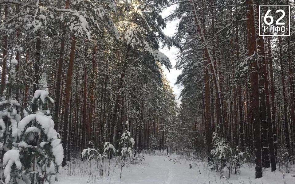 Снег и гололедицу прогнозируют в Рязанской области 19 февраля - 62ИНФО Снег и гололедицу прогнозируют в Рязанской области 19 февраля - 62ИНФО