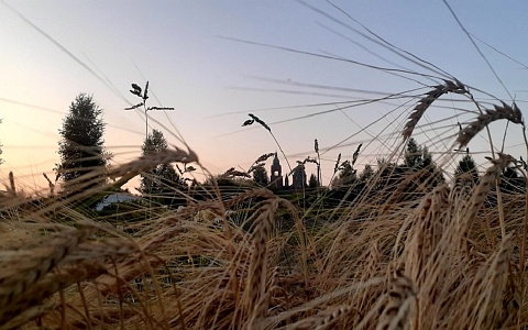 Там, где время теряет власть: чудо на Пету