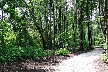 Рязанцам назвали срок появления экотропы в Лесопарке