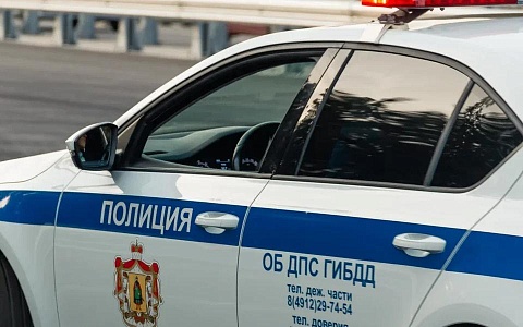 В Михайлове автоинспекторы провели беседу с детьми в детском саду  