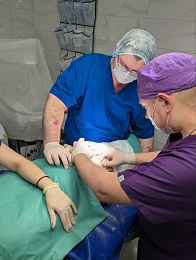 Рязанские ветеринары экстренно прооперировали крокодилицу Люсьен из цирка