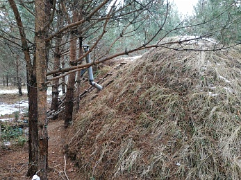 Рязанцы нашли «нору хоббитов» в мещёрском лесу