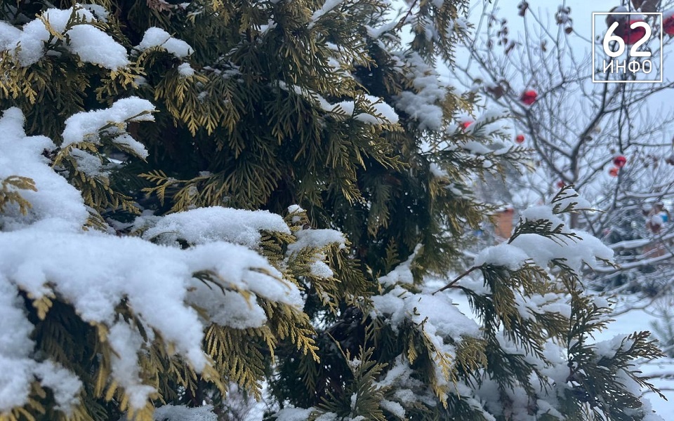 Рязань встретит Новый год погодной аномалией - 62ИНФО
