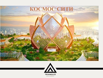 Вдохновляясь Циолковским, следуя за мечтой: Артем Феоктистов предложил космический проект для Рязанской области