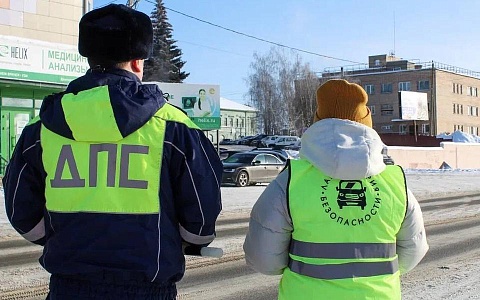 Рязанская Госавтоинспекция отчиталась о результатах рейда по пешеходам 