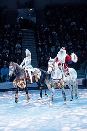 Первые зрители оценили "Новогоднюю тайну пирата" в Рязанском цирке