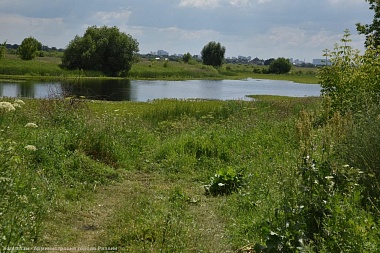 Рязанская мэрия и полиция провели рейды на местах несанкционированных пляжей