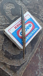 На раскопках в Мещере нашли предмет, пролежавший в земле более тысячи лет