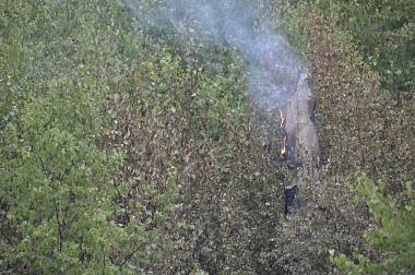 Дым без огня. Как выглядит лесной пожар под Рязанью спустя неделю 
