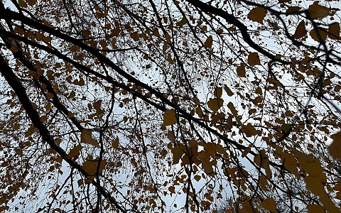 Рязанскую область накроют сильные дожди