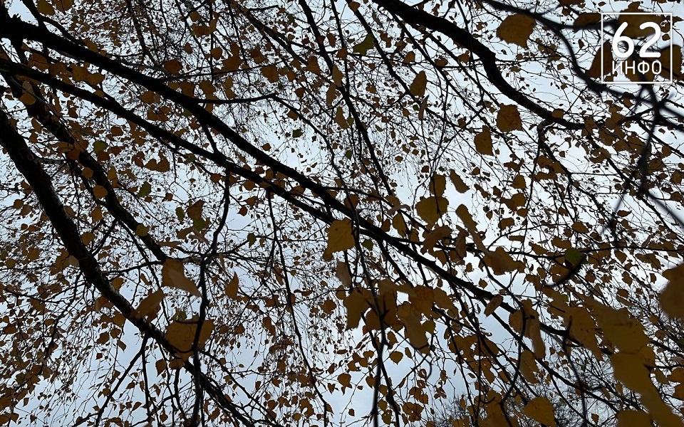 Рязанскую область накроют сильные дожди - 62ИНФО