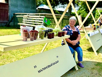 В селе Новосёлки Рыбновского района начался фестиваль «Малина»