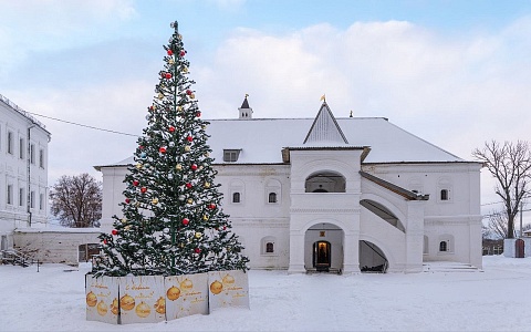 Митрополит Марк сделал атмосферные фото Новогодней столицы