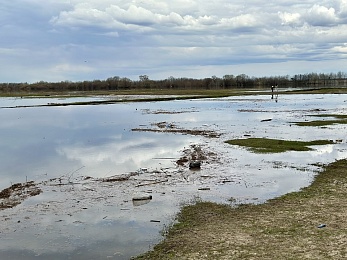 Рязанское море: фото разлива Оки
