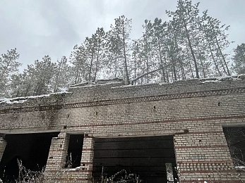 В рязанском лесу сфотографировали заброшки и лестницу в никуда - 62ИНФО В рязанском лесу сфотографировали заброшки и лестницу в никуда