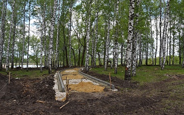 Парк «100 берёзок» в Сасовском округе ждёт масштабное обновление