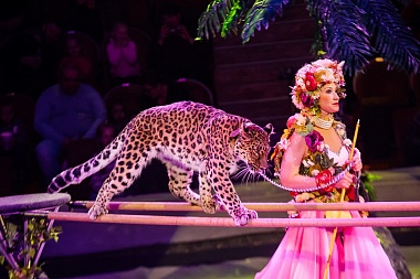 Первые зрители оценили "Новогоднюю тайну пирата" в Рязанском цирке