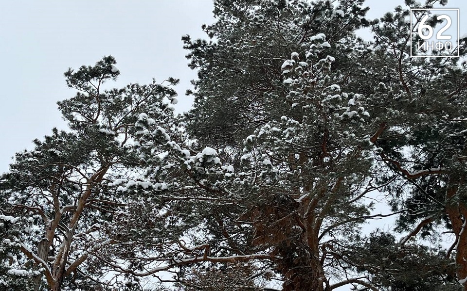 В Рождество на Рязанскую область обрушится снег и придет оттепель - 62ИНФО