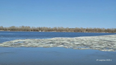 Фото, список залитых мостов, уровень рек: паводок в Рязанской области 29 марта
