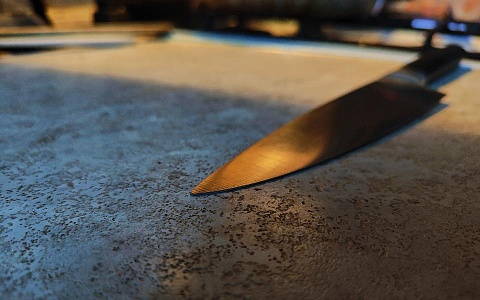 Гостья с ножом и угрозами требовала продолжить застолье в Рыбновском районе