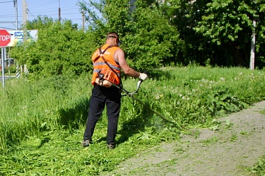 Из-за жары в Рязани начали поливать высаженные растения