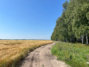 Провожаем лето: красивые фото Рязанской области с настроением отпуска