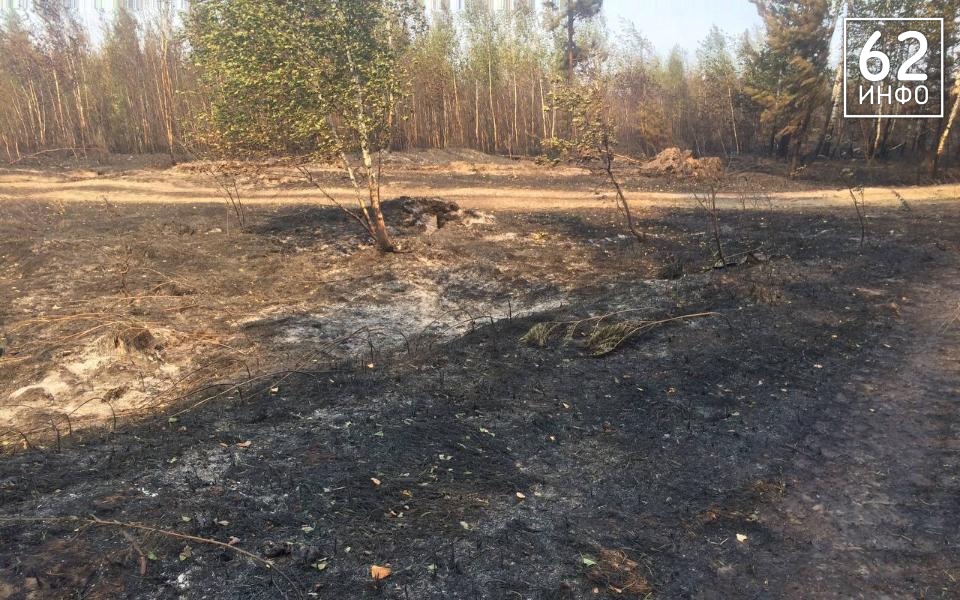 В Рязанской области за пал травы и поджог мусора оштрафовали 15 раз - 62ИНФО