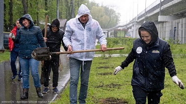 В рязанском Лесопарке высадили 50 молодых лиственниц 
