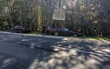 В Касимовском округе автомобиль сбил лося