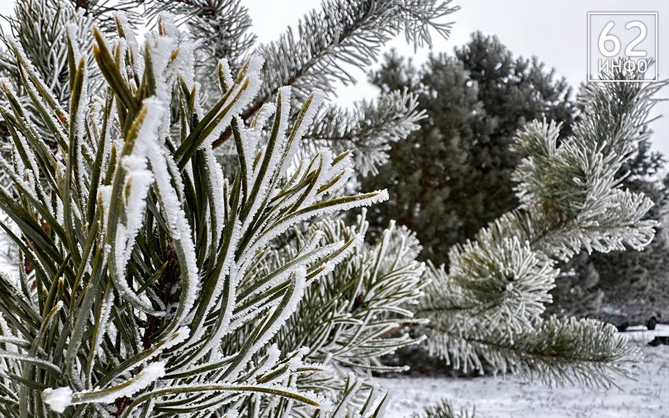 Рязанское МЧС предупреждает о сильных морозах в ночь на 25 января - 62ИНФО
