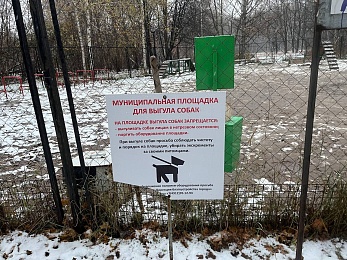 Где в Рязани гулять с собакой: официальные площадки и запрещенные места для выгула 