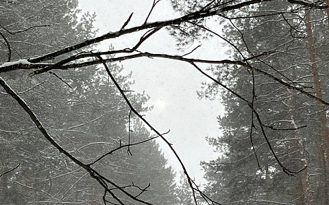 Рязанскую область 26 февраля накроет мокрый снег