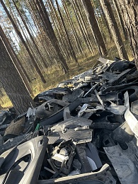 У "Тропы Паустовского" под Рязанью устроили свалку