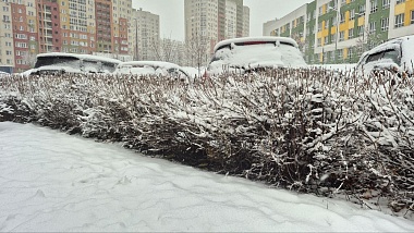 Фоторепортаж: в Рязани 15 ноября выпал первый снег