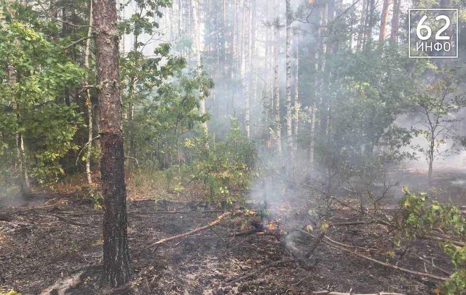 В Рязанской области 26 сентября тушили 17-ый лесной пожар 2024-го - 62ИНФО